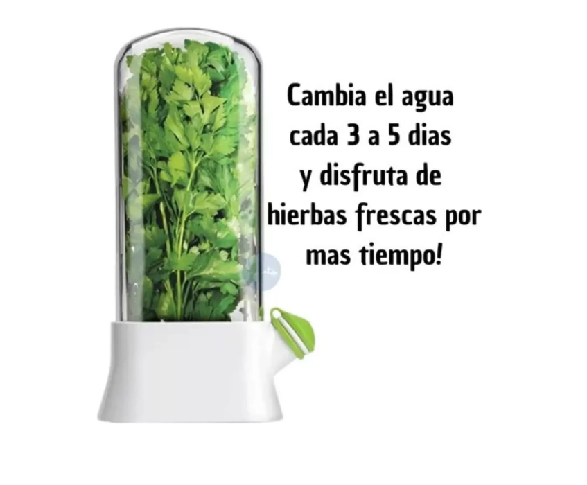 Miniatura 5 de Conservador de Hiervas y especie Grande